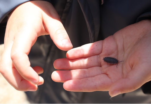 A link to the Hotwells Children's House Nursery Website